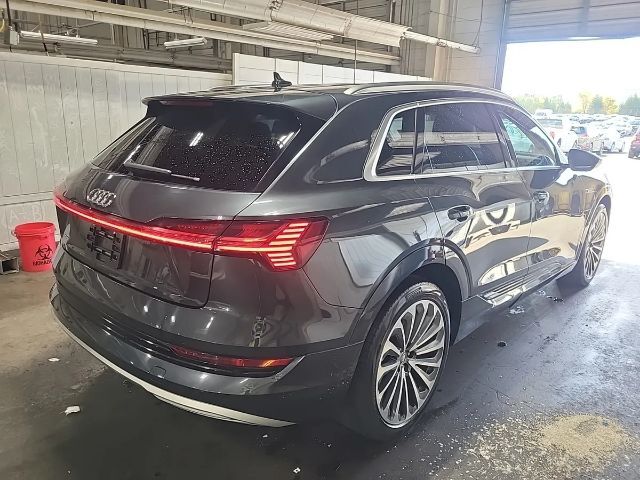 2019 Audi e-tron Premium Plus