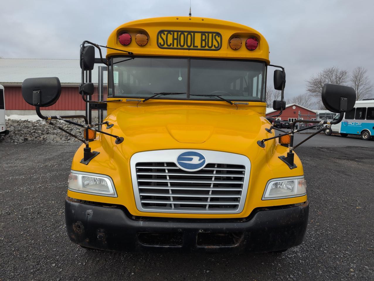 2019 BLUEBIRD BLUEBIRD Vision