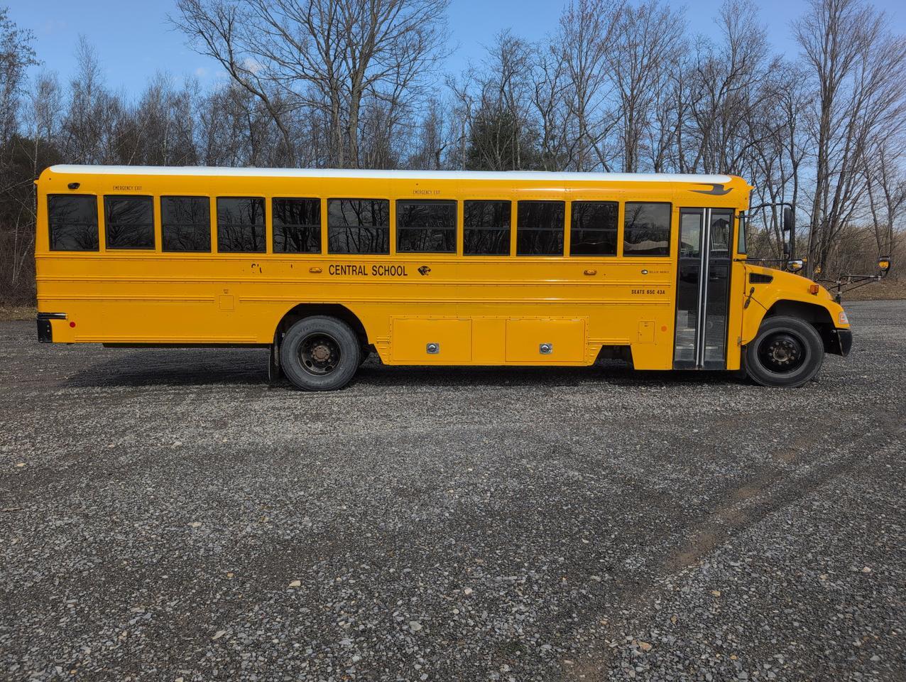 2019 BLUEBIRD BLUEBIRD Vision