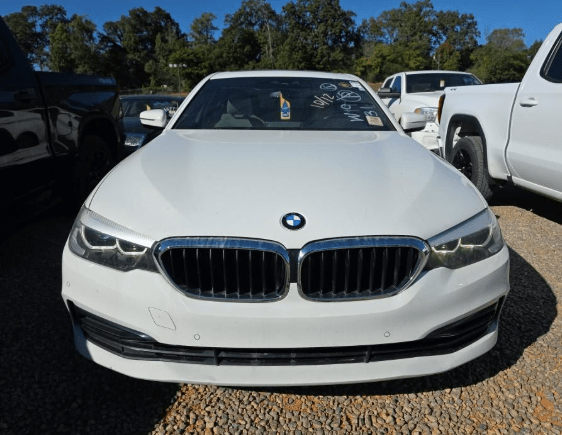 2019 BMW 5 Series 530i xDrive