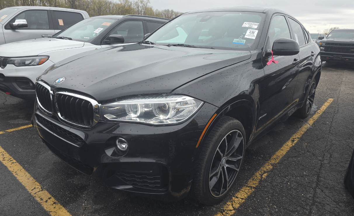 2019 BMW X6 xDrive35i M SPORT