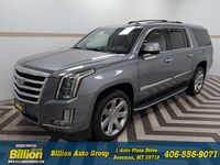2019 Cadillac Escalade ESV Luxury