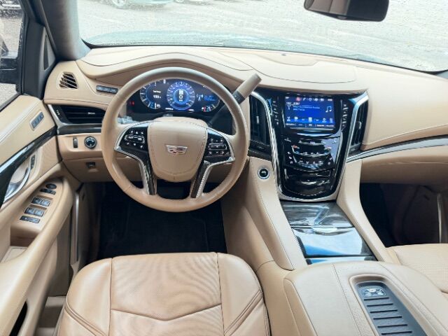 2019 Cadillac Escalade ESV Platinum Gaston SC