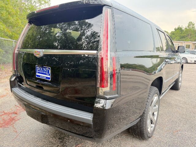 2019 Cadillac Escalade ESV Platinum Gaston SC