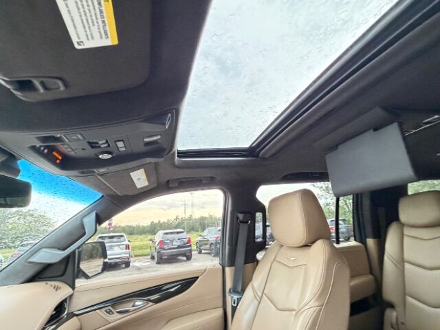 2019 Cadillac Escalade ESV Platinum Gaston SC