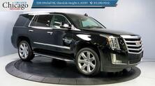 Cadillac Escalade Luxury 2019