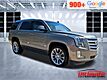 2019 Cadillac Escalade Platinum Edition