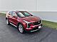 2019 Cadillac XT4 Premium Luxury AWD Lots of Pkgs w/20s AdaptiveCruise Sunroof Nav HtdCldMemLthr HD-SrrndVsn Milwaukee WI