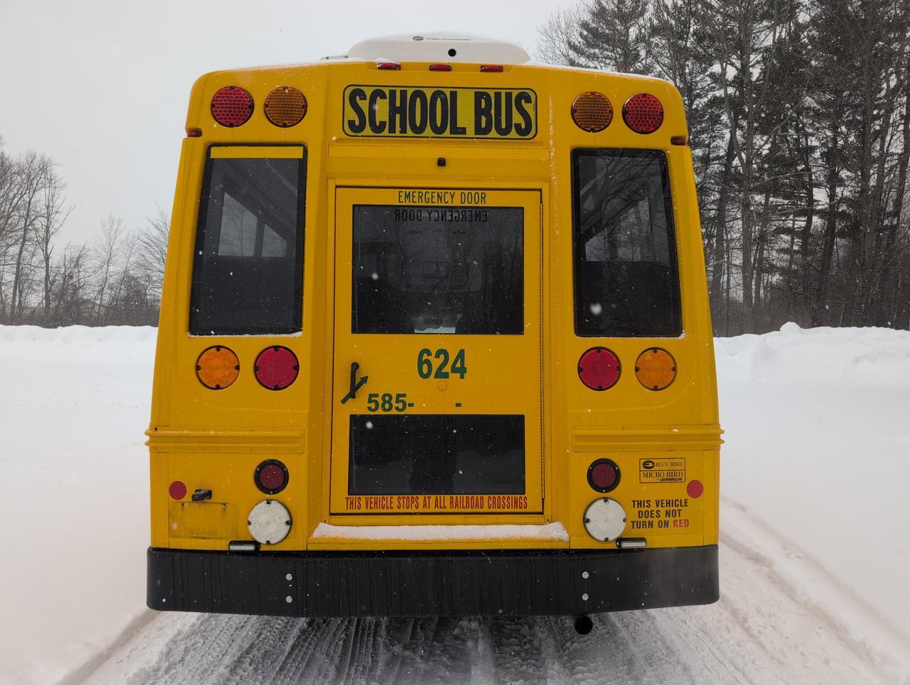 2019 Chevrolet GIRARDIN MICROBIRD