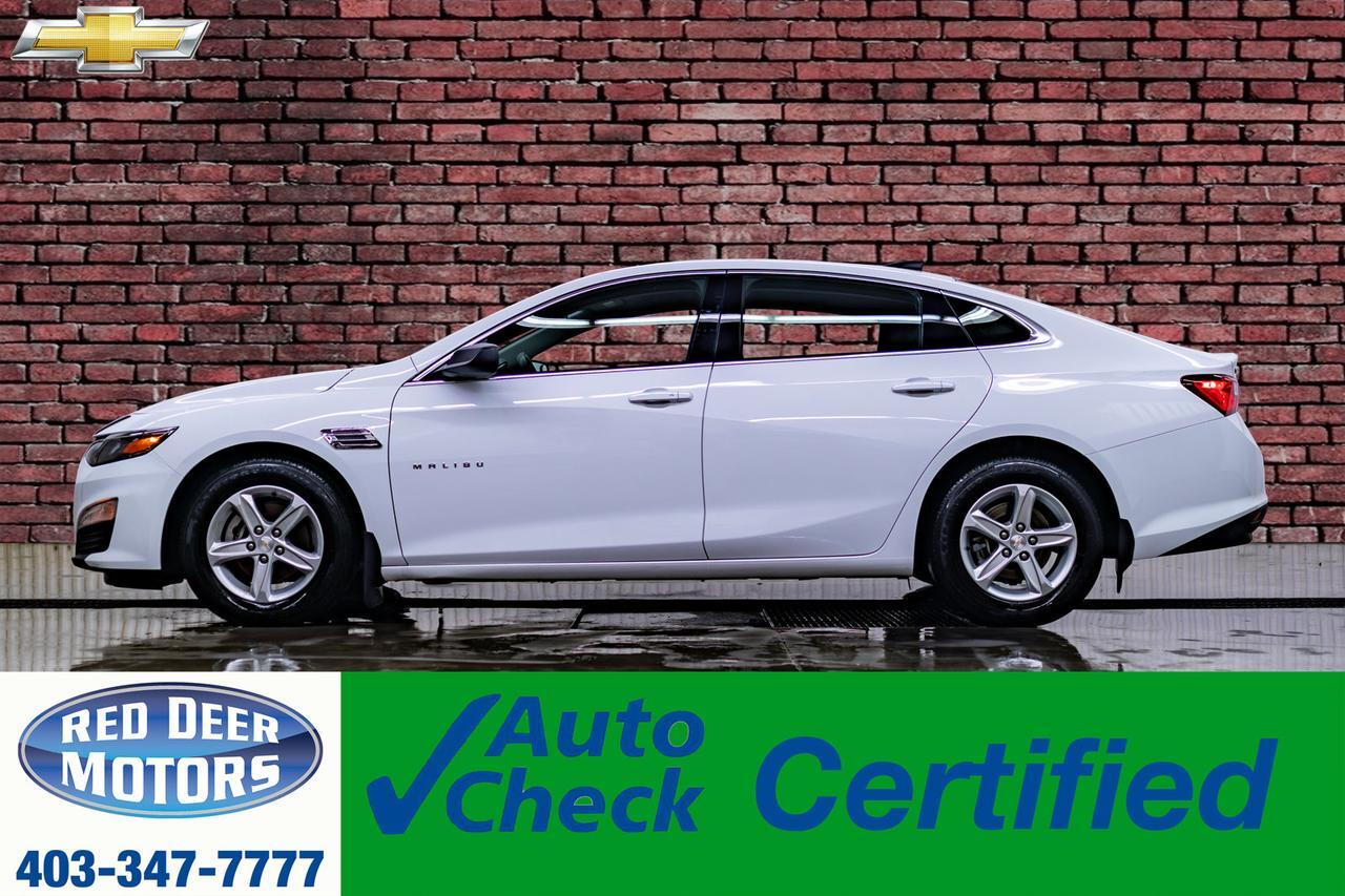 2019 Chevrolet Malibu LS BCam