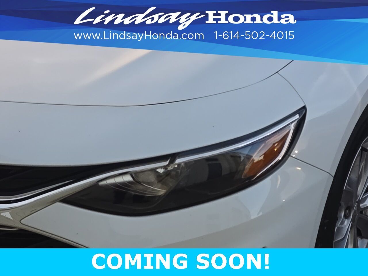 2019 Chevrolet Malibu LT