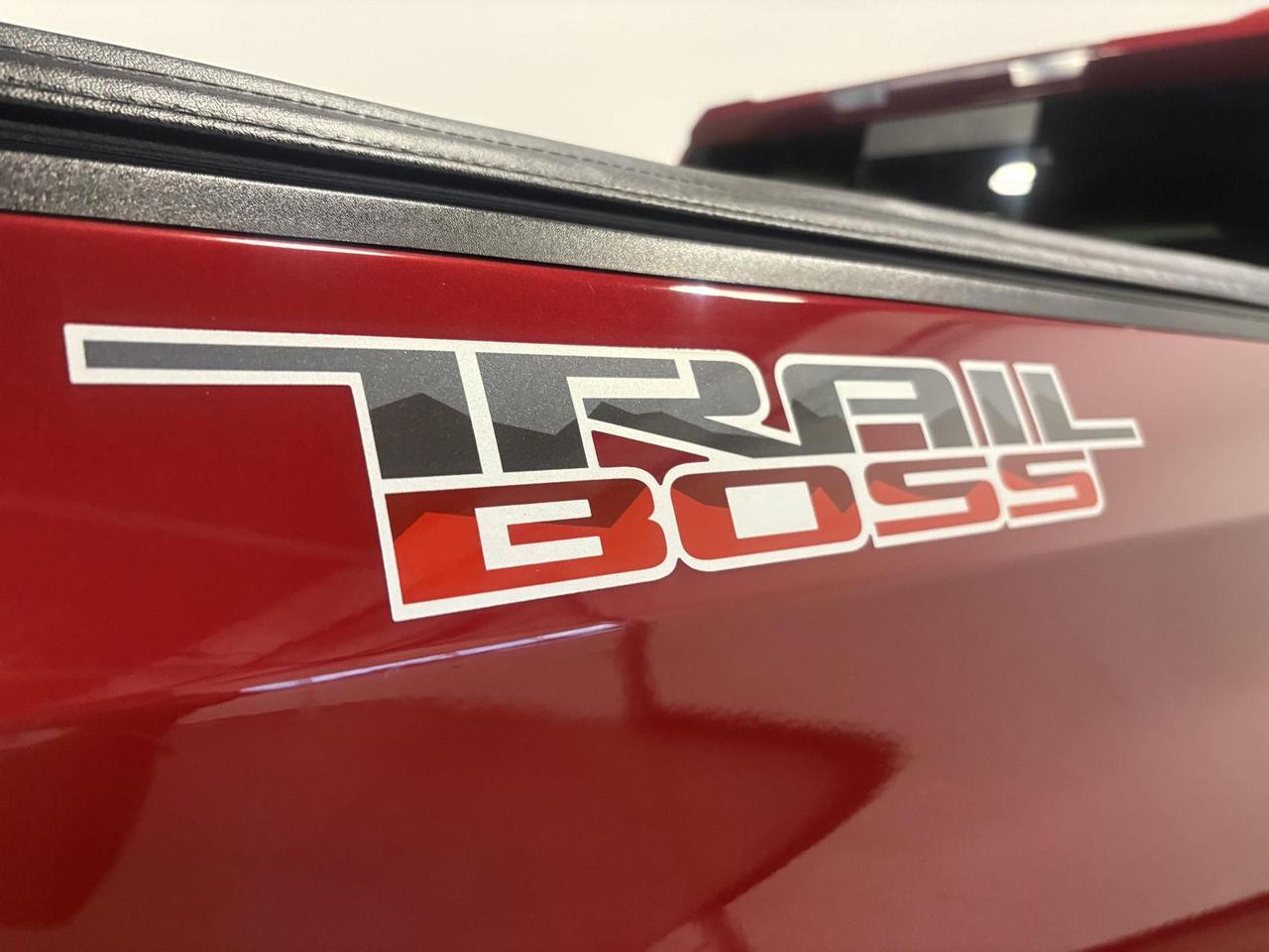 2019 Chevrolet Silverado 1500 LT Trail Boss Parker CO