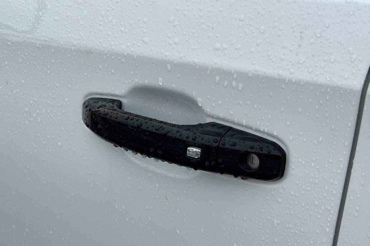 2019 Chevrolet Silverado 1500 LT Trail Boss Roseville CA