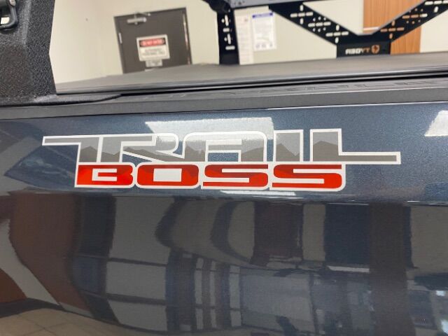 2019 Chevrolet Silverado 1500 TRAIL BOSS LIFTED AND LOADED Charlotte NC