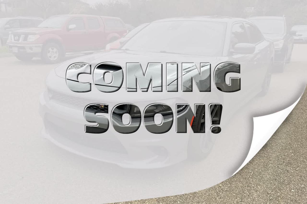 2019 Dodge Charger R/T's photo