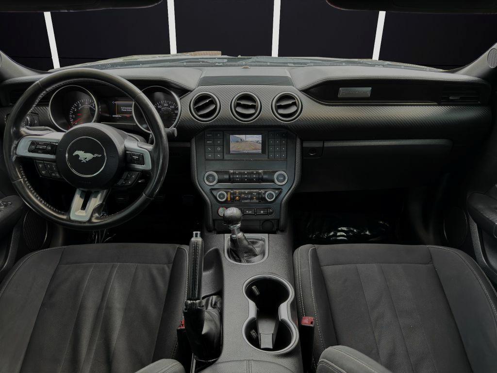 2019 FORD MUSTANG Columbus OH