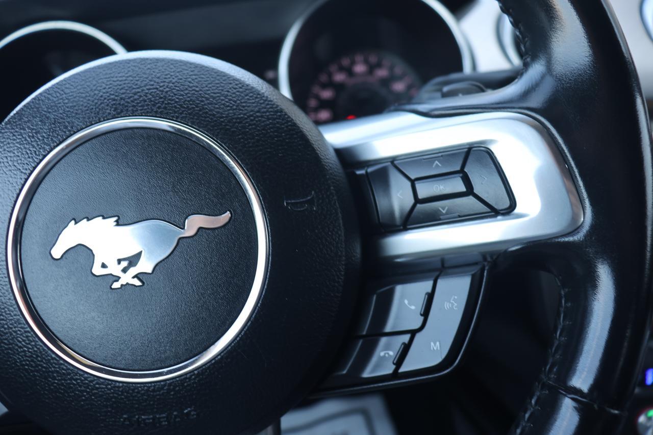 2019 FORD MUSTANG Houston TX