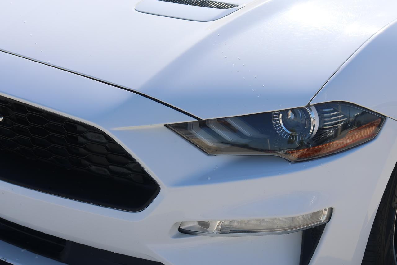 2019 FORD MUSTANG Houston TX
