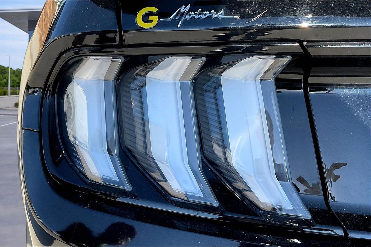 2019 FORD MUSTANG GT Houston TX