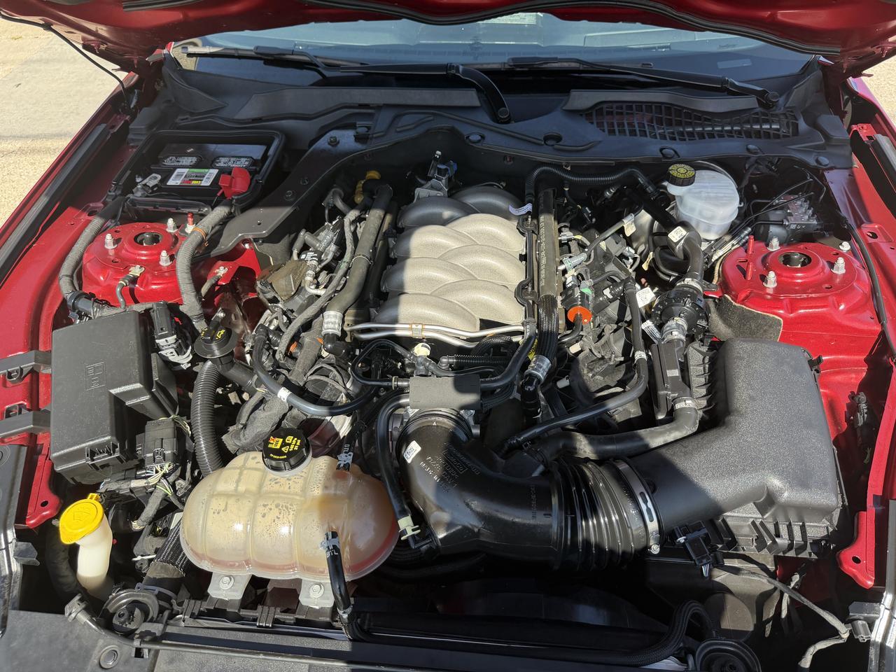 2019 Ford Mustang GT Premium Dallas TX
