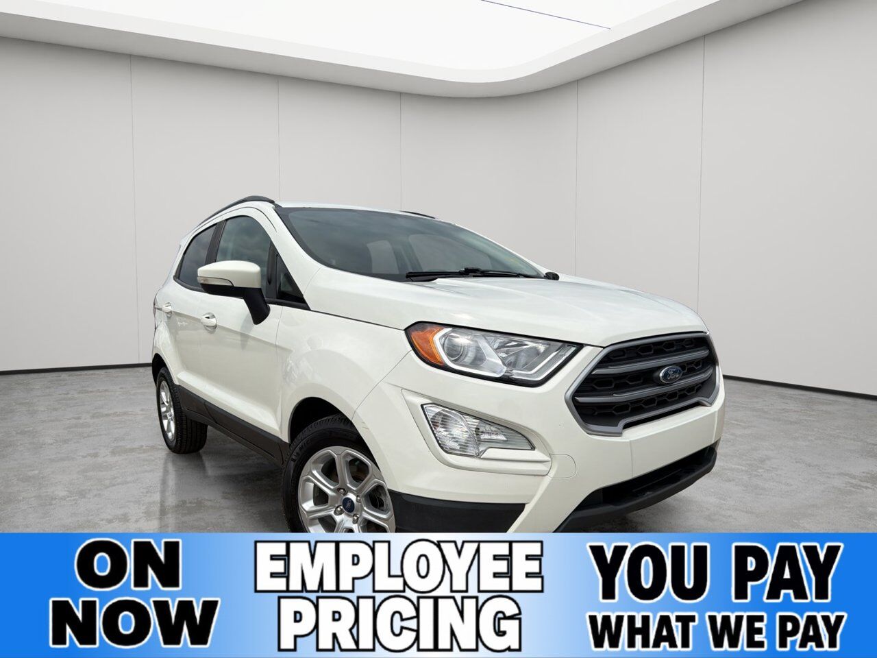 2019 Ford EcoSport SE