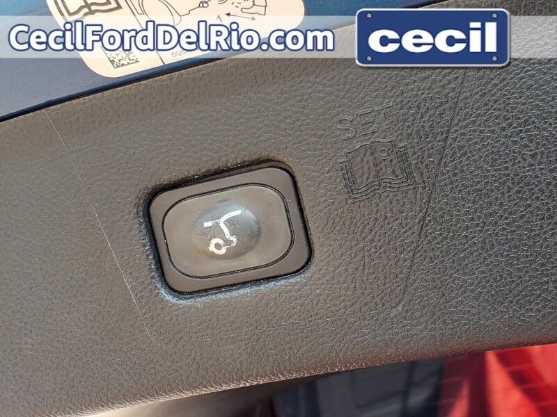 2019 Ford Edge ST Del Rio TX