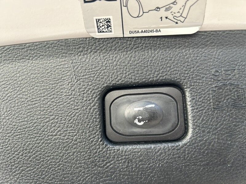 2019 Ford Edge Titanium - ELITE PACKAGE - EXTRA CLEAN Webster MA