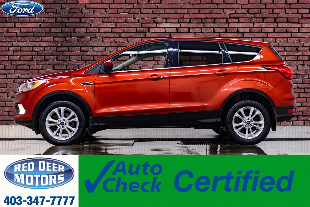 2019 Ford Escape AWD SE PSeat BCam