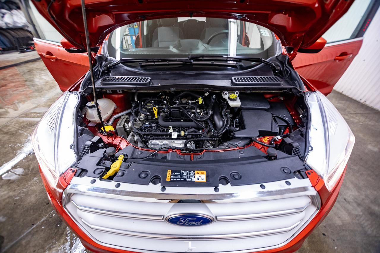 2019 Ford Escape AWD SE PSeat BCam Red Deer AB