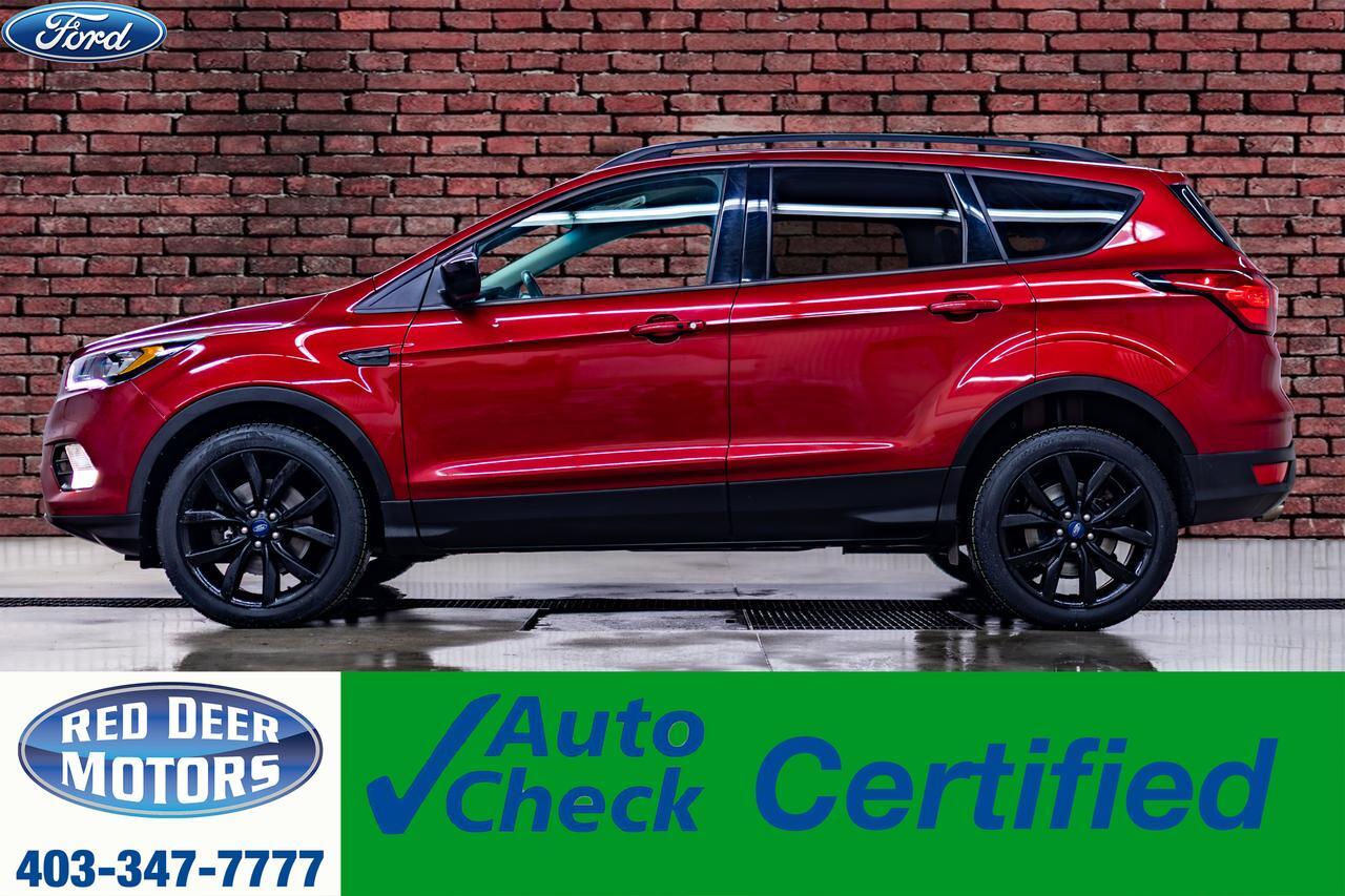 2019 Ford Escape AWD SE PSeat BCam