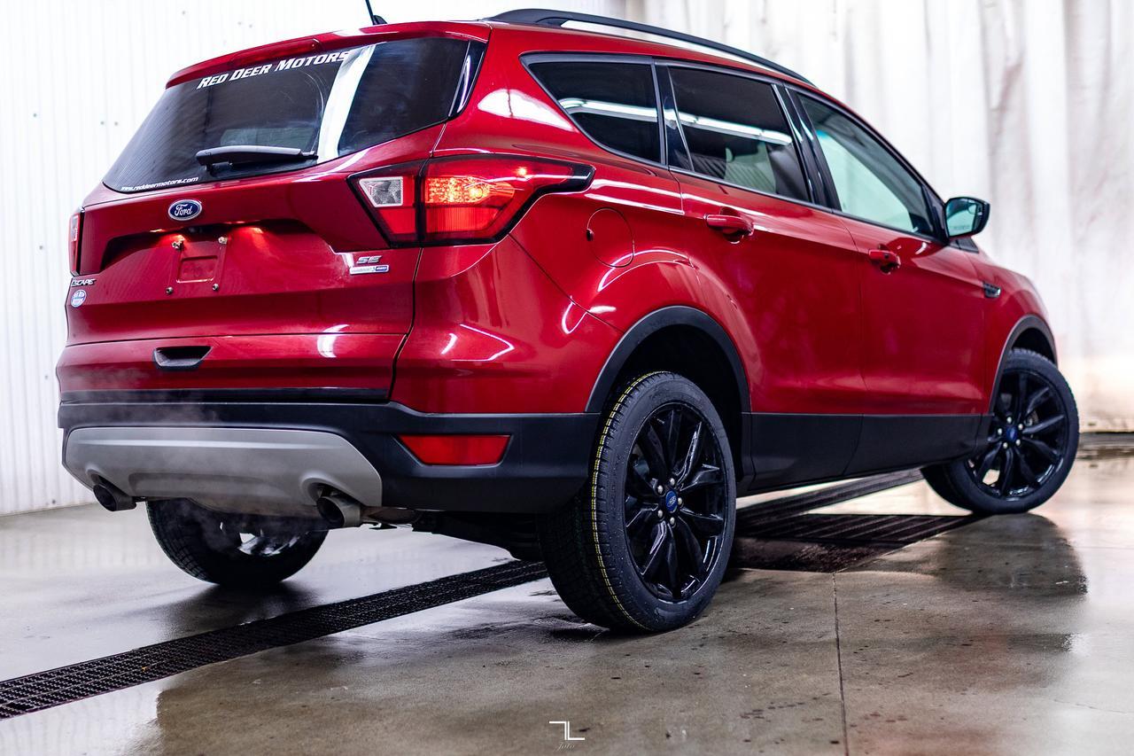 2019 Ford Escape AWD SE PSeat BCam Red Deer AB