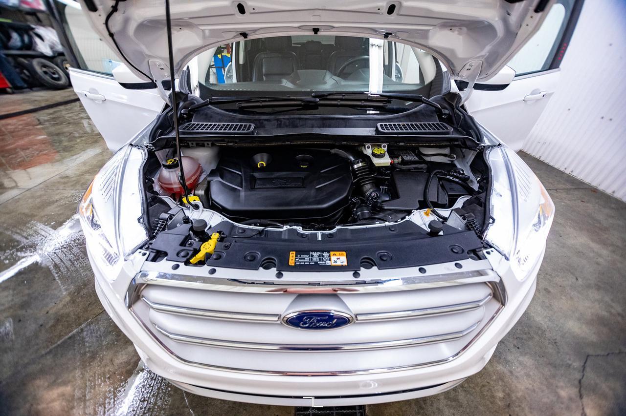 2019 Ford Escape AWD SEL Leather BCam Red Deer AB