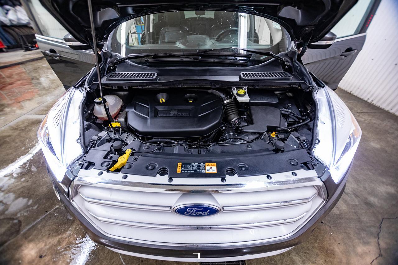 2019 Ford Escape AWD Titanium Leather Nav BCam Red Deer AB