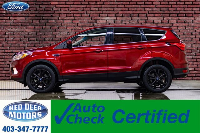 2019 Ford Escape SE BCam