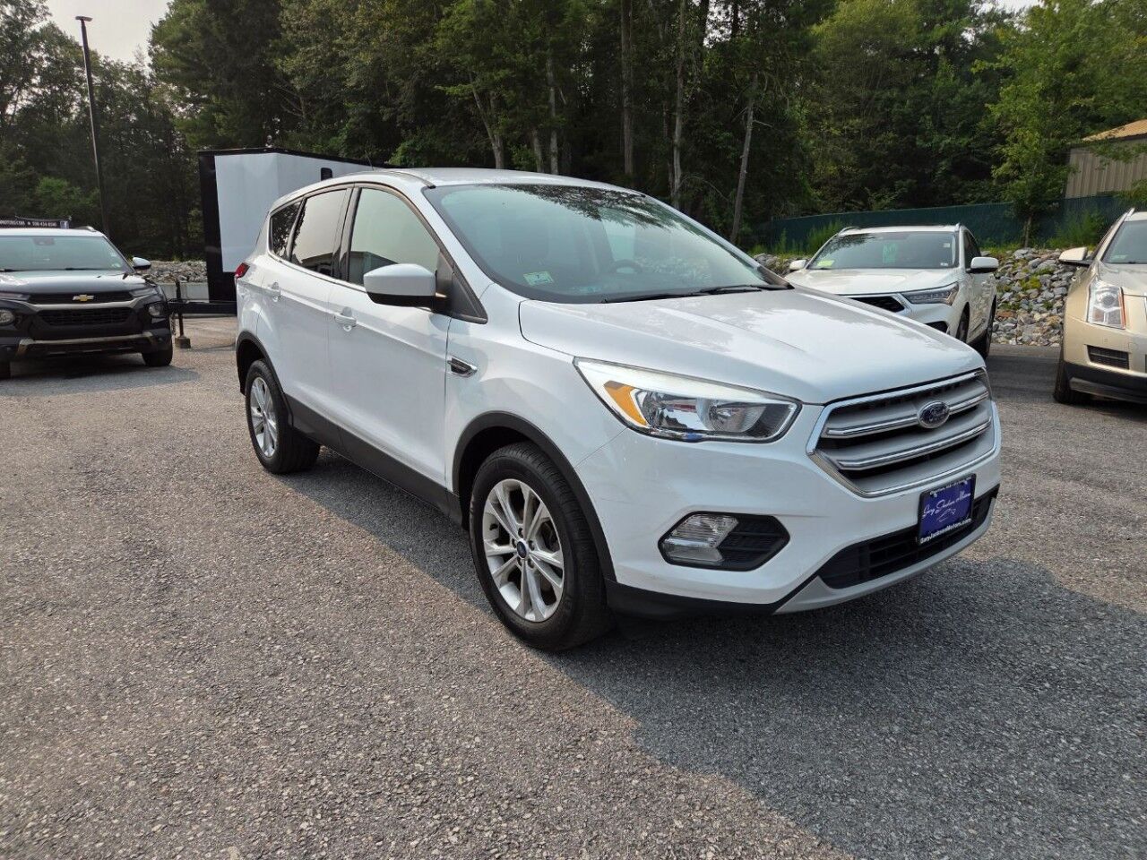 2019 Ford Escape SE