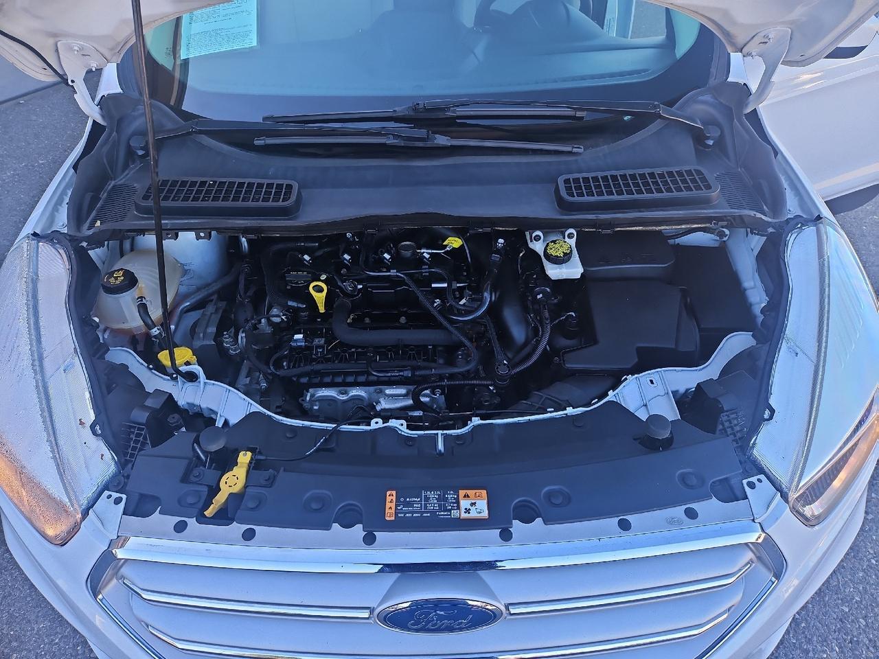 2019 Ford Escape SE Grand Junction CO