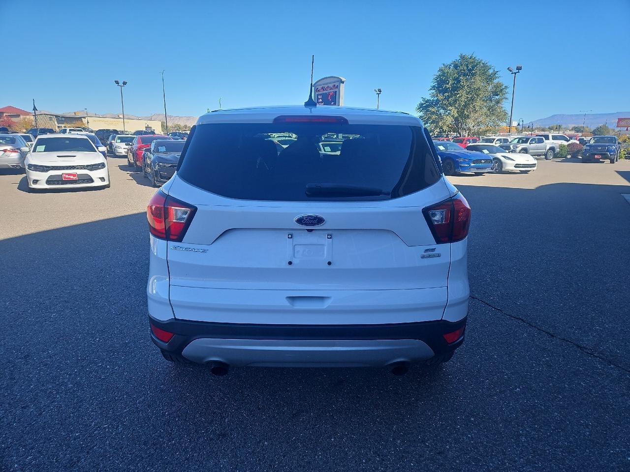 2019 Ford Escape SE photo 3