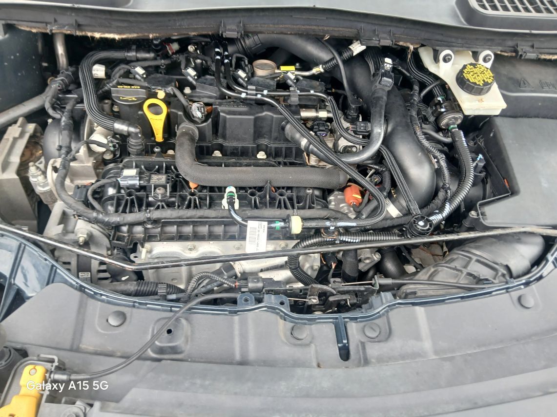 2019 Ford Escape SE Sport Utility 4D Maitland FL