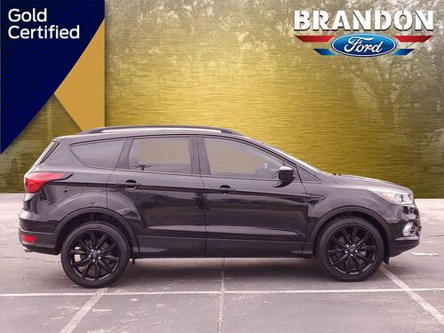 2019 Ford Escape SE Tampa FL 2019 Ford Escape SE Tampa FL