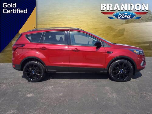 2019 Ford Escape SE Tampa FL 2019 Ford Escape SE Tampa FL