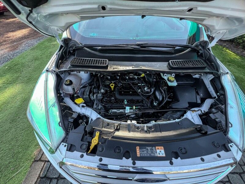 2019 Ford Escape SE Wilmington NC