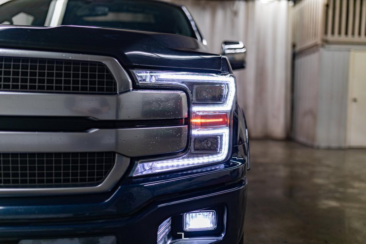 2019 Ford F-150 4x4 Super Crew Platinum FX4 Leather Roof Nav BCam Red Deer AB