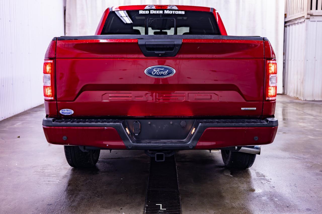 2019 Ford F-150 4x4 Super Crew XLT FX4 Nav Roof BCam Red Deer AB