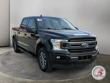 Ford F-150 Crew Cab 4x4 XLT FX4 Sport Ecoboost 2019