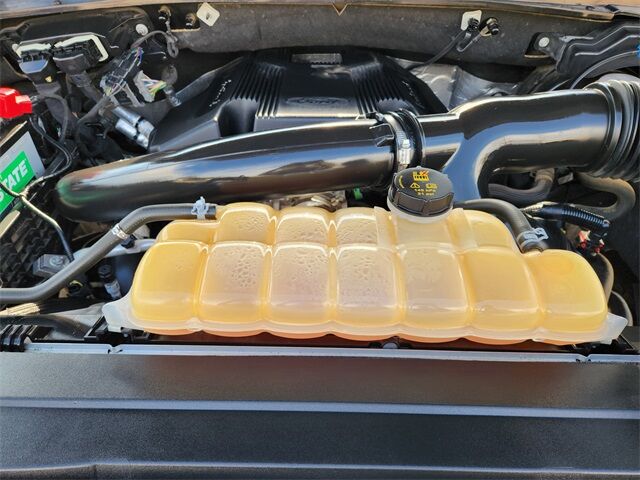 2019 Ford F-150 Limited Grapevine TX