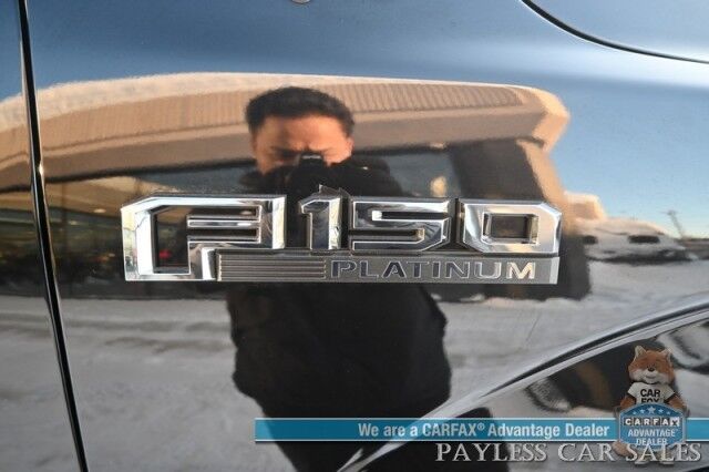 2019 Ford F-150 Platinum Wasilla AK