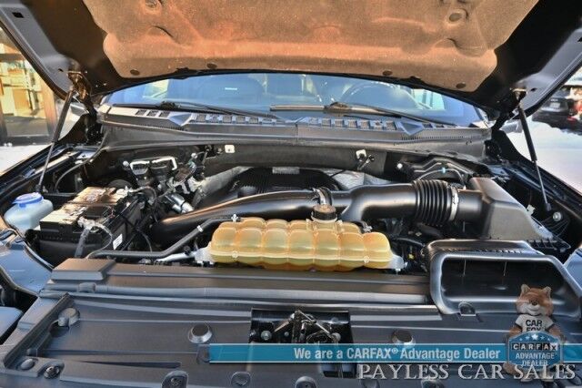 2019 Ford F-150 Platinum Wasilla AK