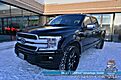 2019 Ford F-150 Platinum / 4X4 / Crew Cab / Auto Start / Heated & Cooled Massaging Leather Seats / H