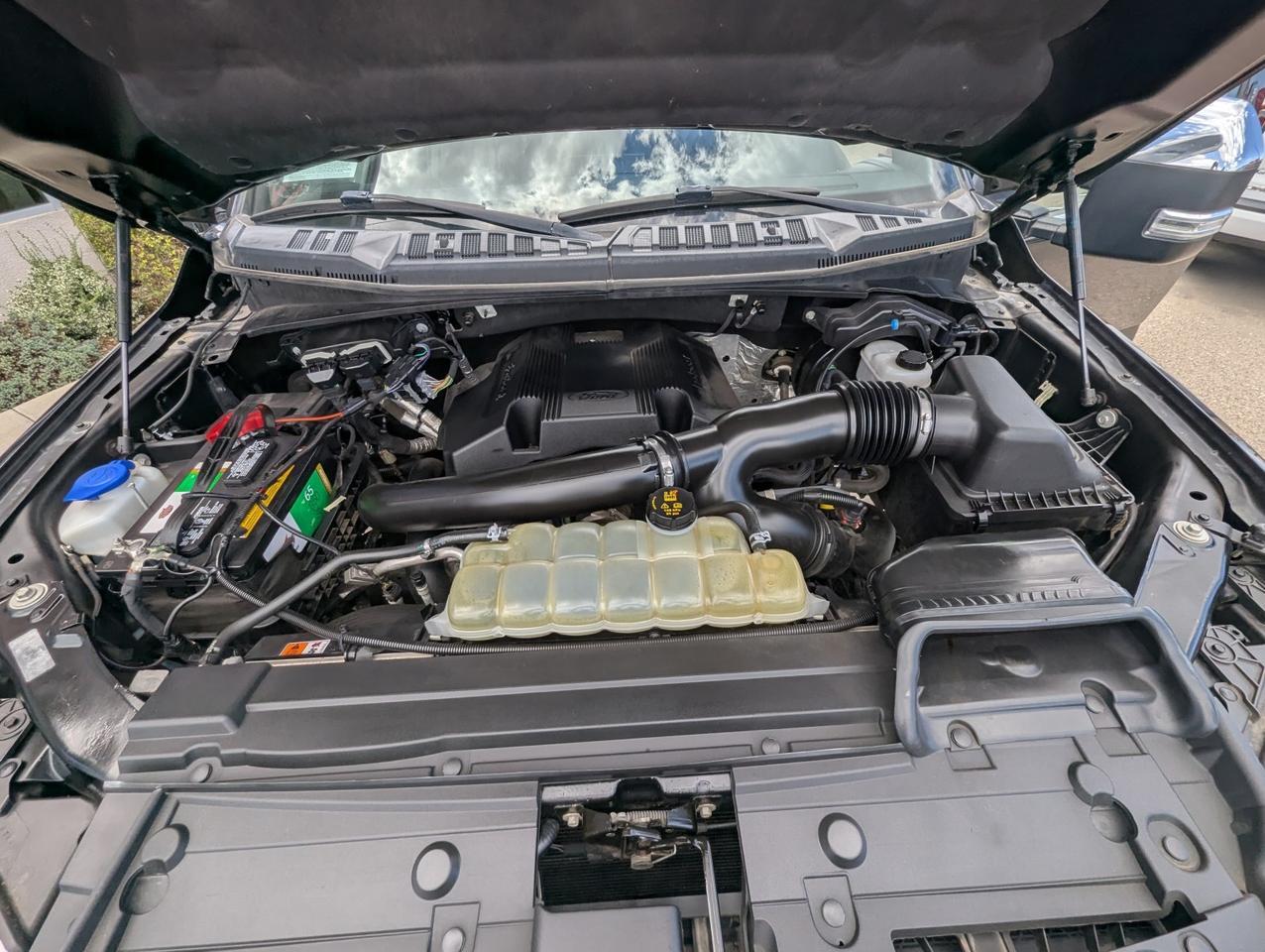 2019 Ford F-150 Platinum Grand Junction CO