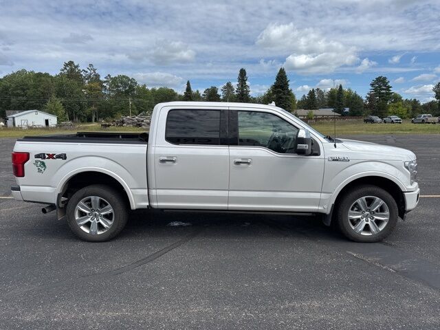 2019 Ford F-150 Platinum Pine River MN